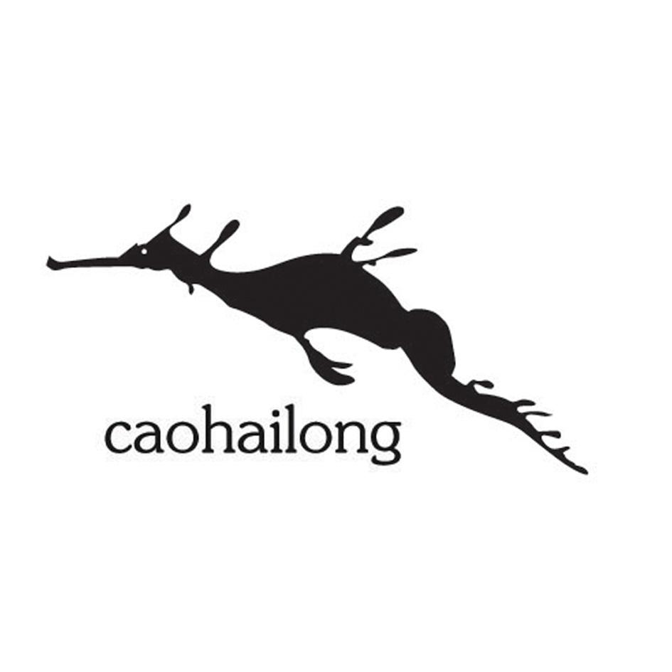 CAOHAILONG