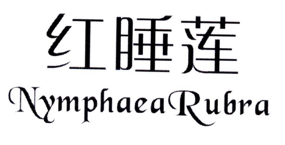 红睡莲NYMPHAEARUBRA