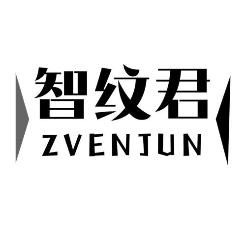 智纹君ZVENJUN