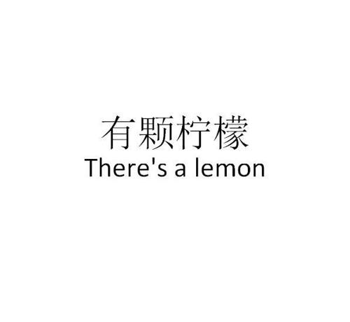 有颗柠檬THERESALEMON
