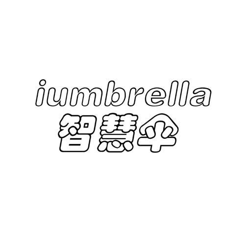 智慧伞IUMBRELLA