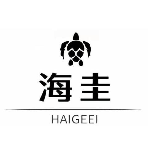 海圭HAIGEEI