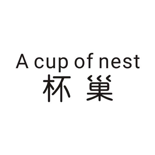 杯巢ACUPOFNEST