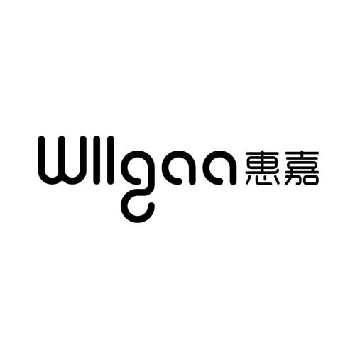 惠嘉WLLGAA