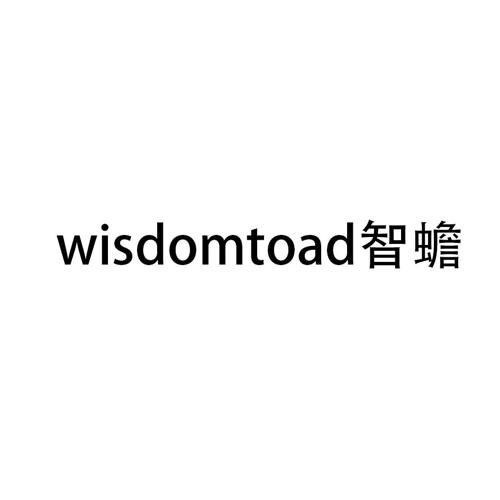 智蟾WISDOMTOAD