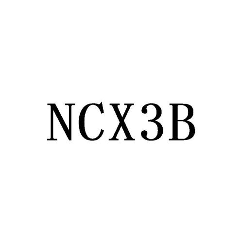 NCXB3