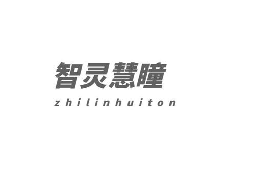 智灵慧瞳ZHILINHUITON