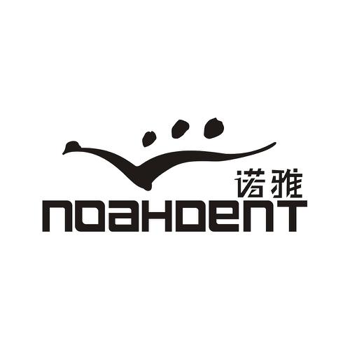 诺雅NOAHDENT