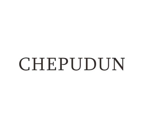 CHEPUDUN