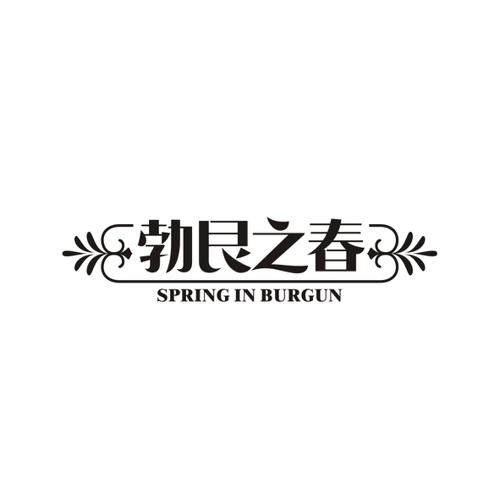 勃艮之春SPRINGINBURGUN