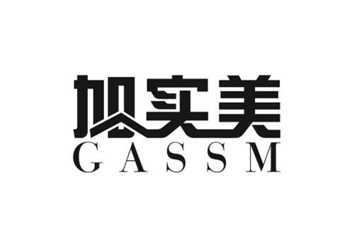 加实美GASSM