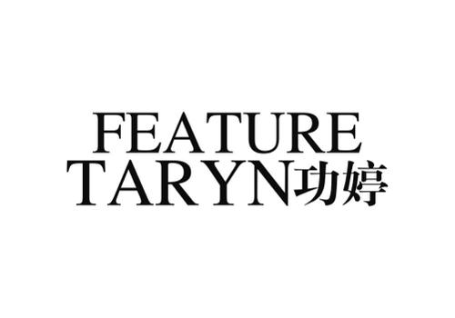 功婷FEATURETARYN