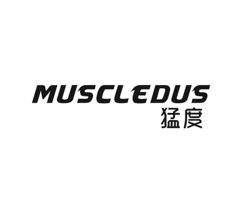 猛度MUSCLEDUS