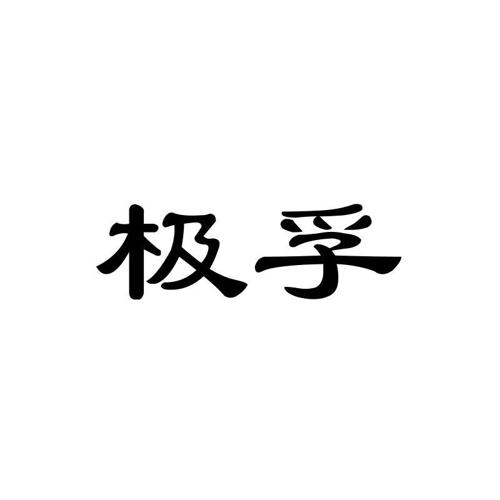 极孚