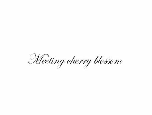 MEETINGCHERRYBLOSSOM