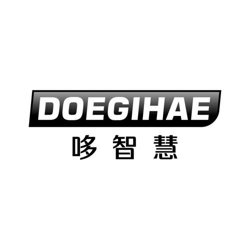 哆智慧DOEGIHAE