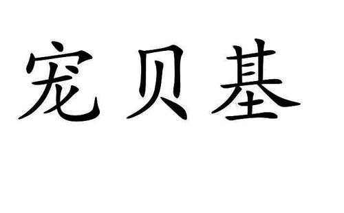 宠贝基