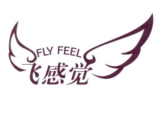 飞感觉FLYFEEL