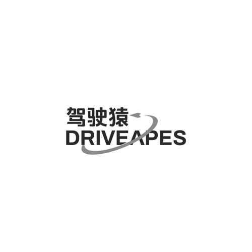 驾驶猿DRIVEAPES