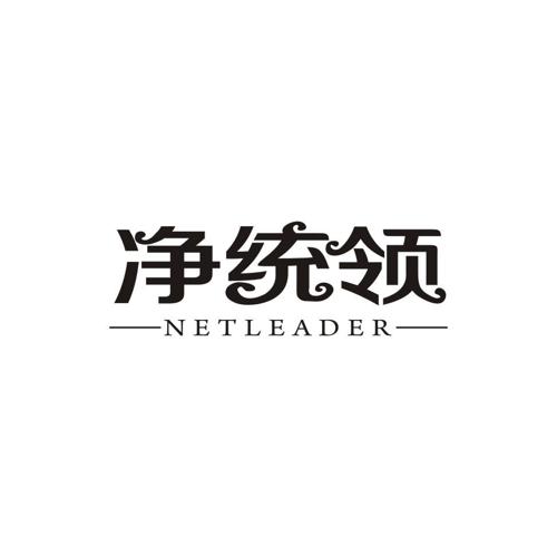 净统领NETLEADER