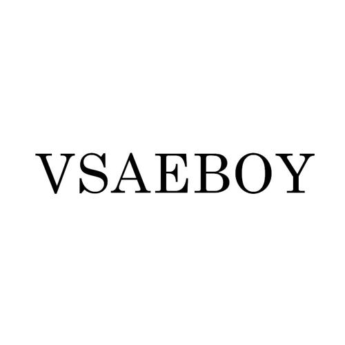 VSAEBOY