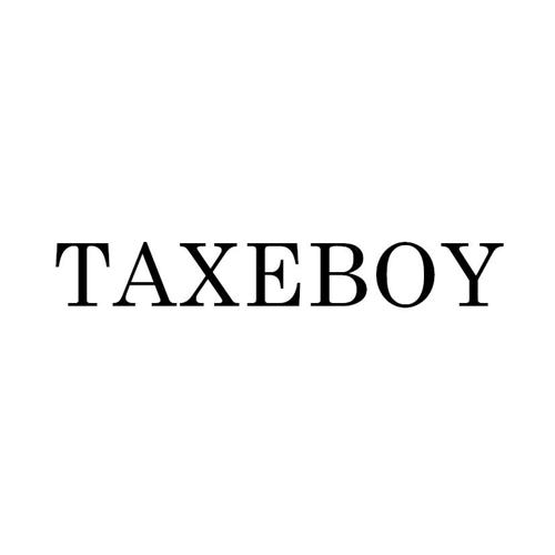 TAXEBOY