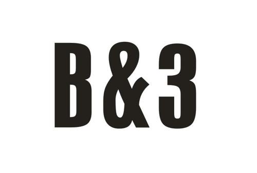 B3