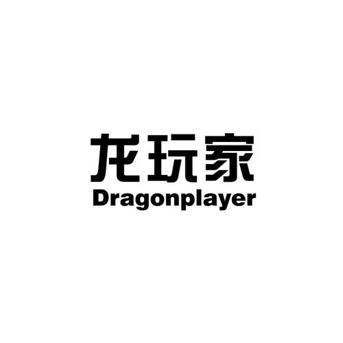 龙玩家DRAGONPLAYER