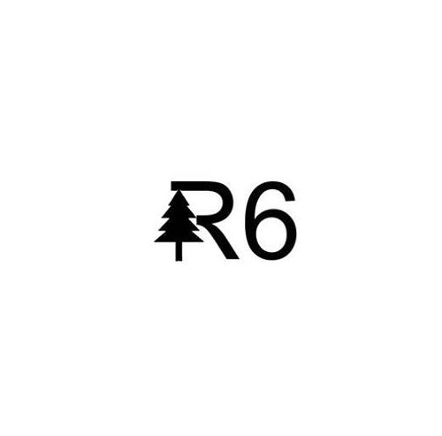 R6