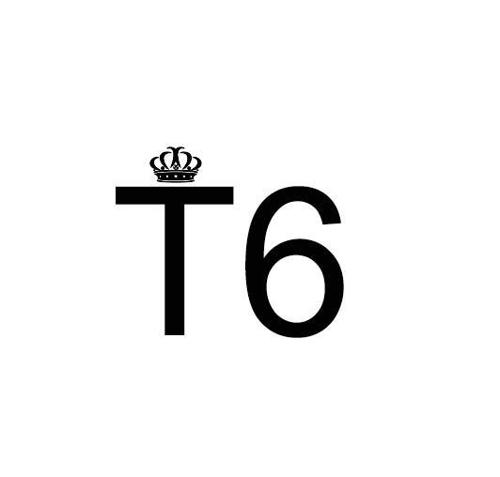 T6