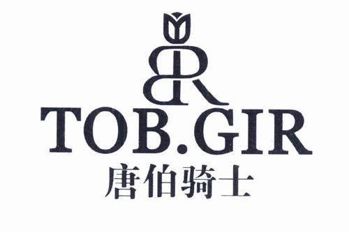 唐伯骑士TOBSIG