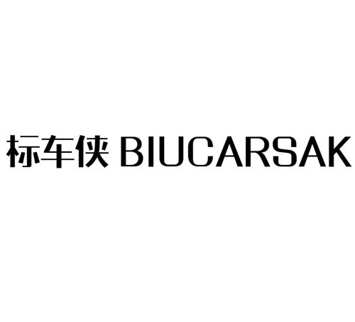 标车侠BIUCARSAK