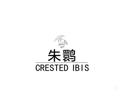 朱鹮CRESTEDIBIS