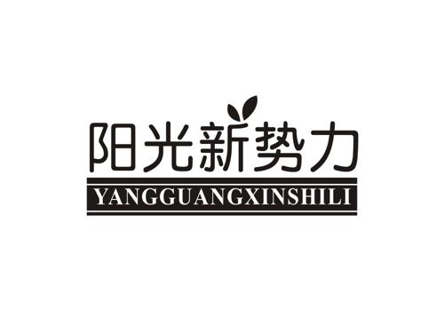 阳光新势力