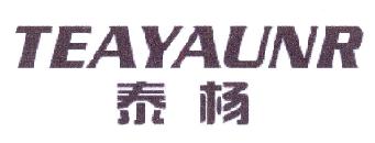 泰杨TEAYAUNR