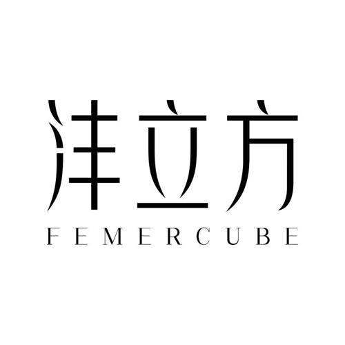 沣立方FEMERCUBE