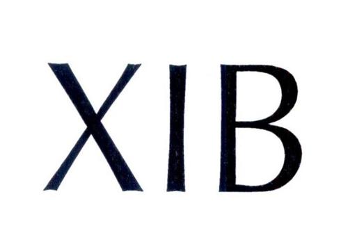 XIB