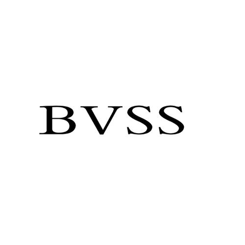 BVSS