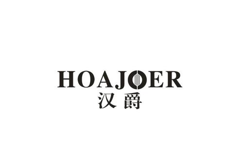 汉爵HOAJOER