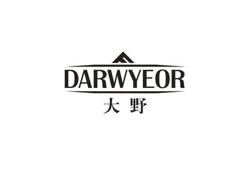 大野DARWYEOR