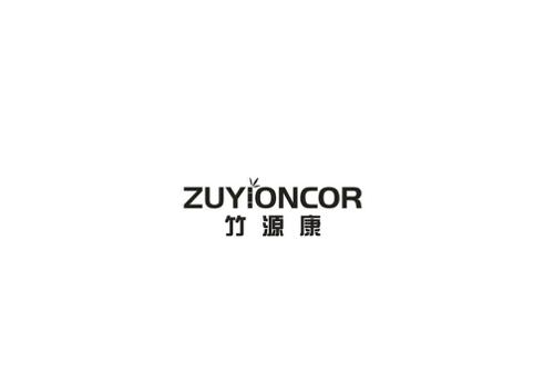 竹源康ZUYIONCOR