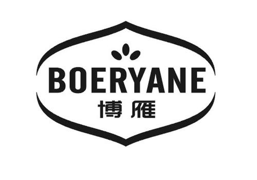 博雁BOERYANE
