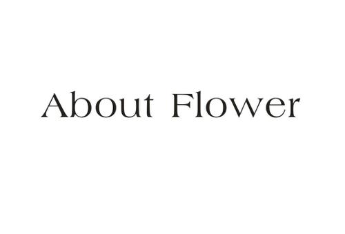 ABOUTFLOWER