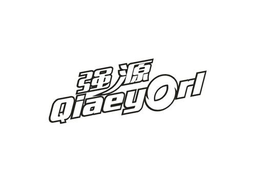 强源QIAEYORL