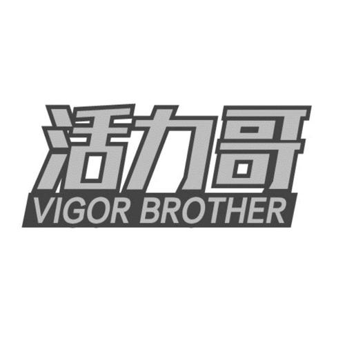 活力哥VIGORBROTHER