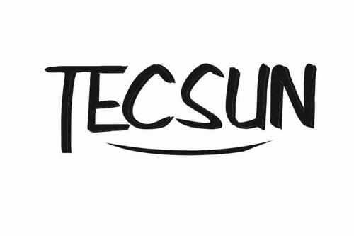 TECSUN