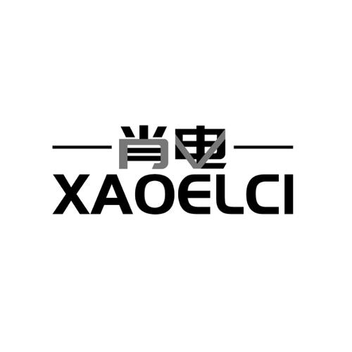 肖电XAOELCI