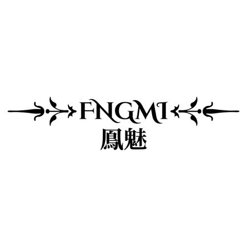 凤魅FNGMI