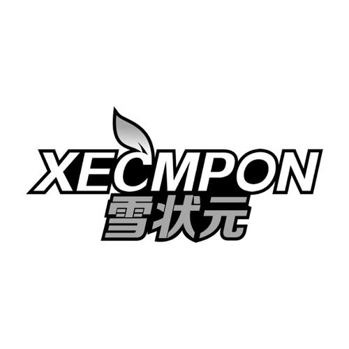 雪状元XECMPON