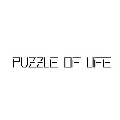 PUZZLEOFLIFE